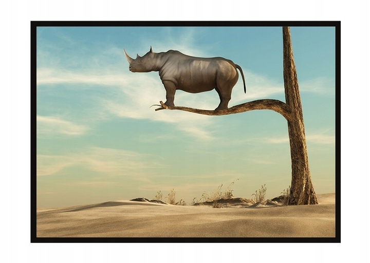 Poster - Nashorn