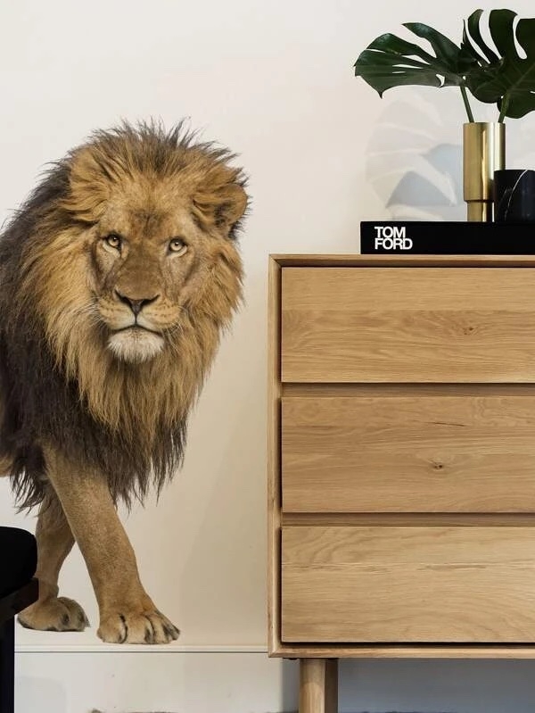 Wandtattoo - Löwe
