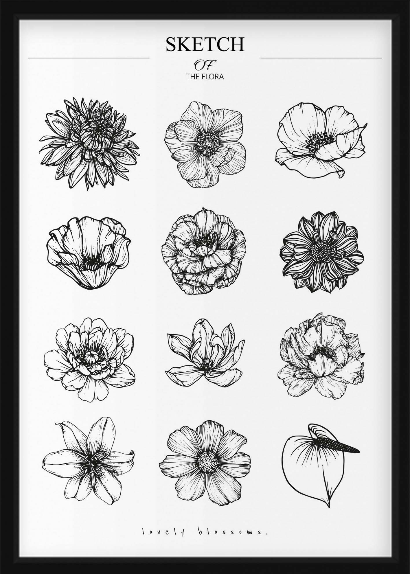 Poster - Sketch of the Flora