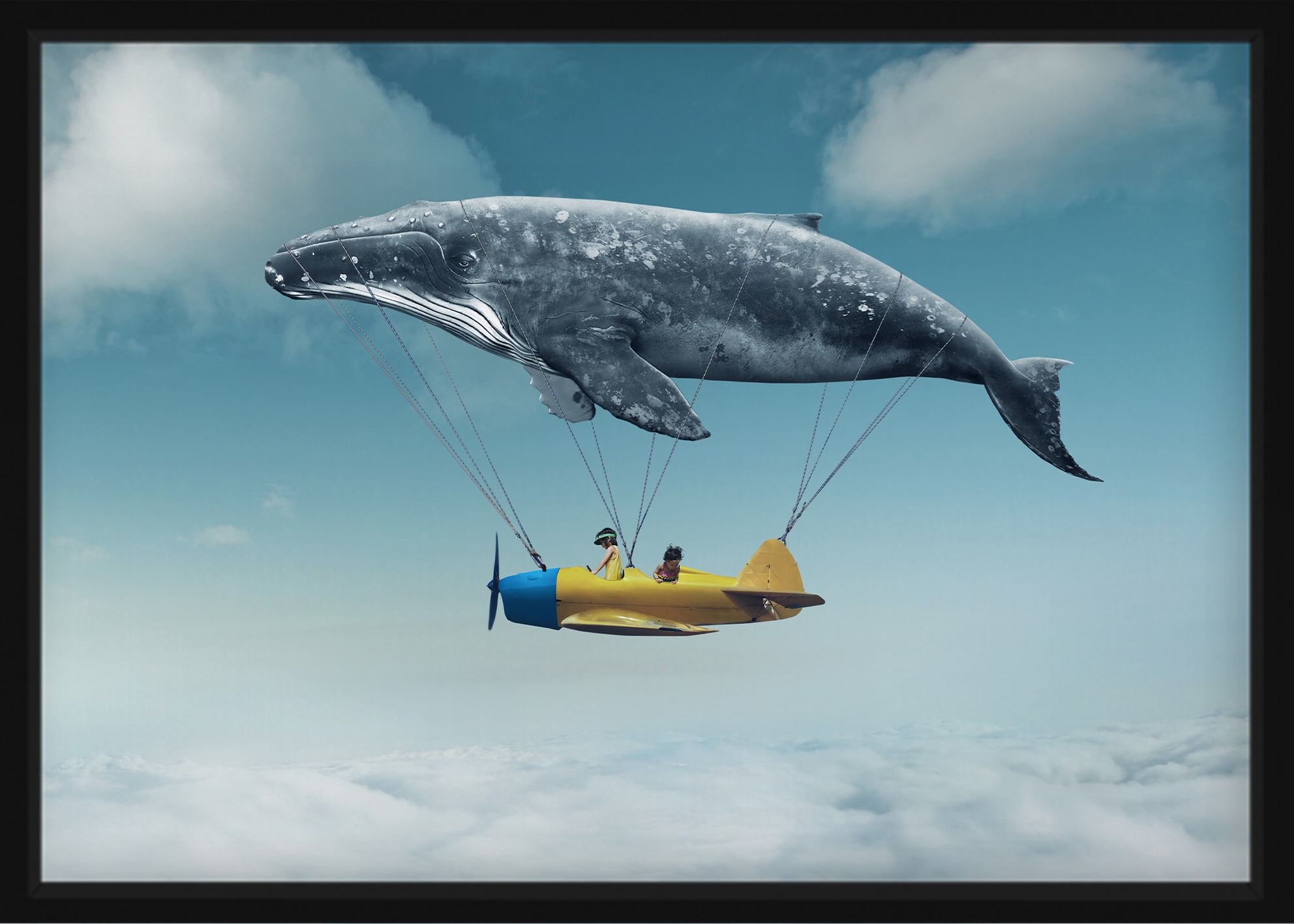 POSTER - Flugmaschine des Wals