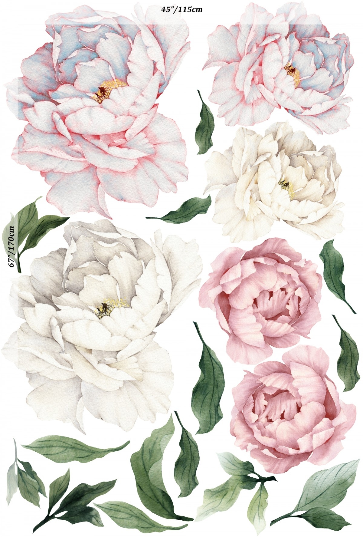 Wandsticker - Blau Rosa Pfingstrose Blumen