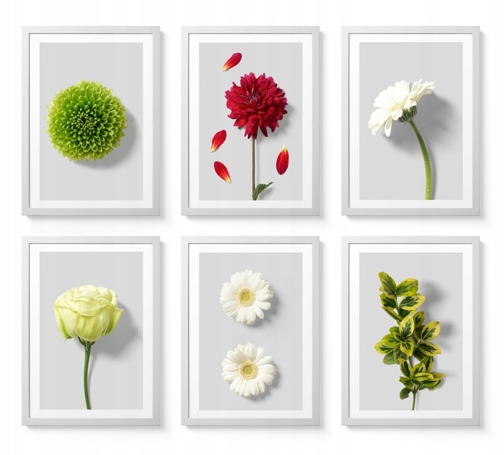 Poster - Blumen / 6er-Set