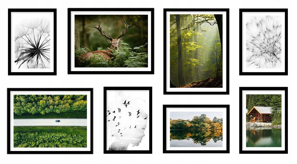 Poster - Natur / 8er-Set