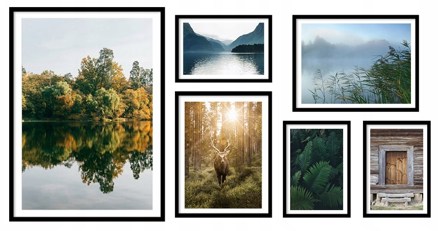 Poster - Wald / 6er-Set