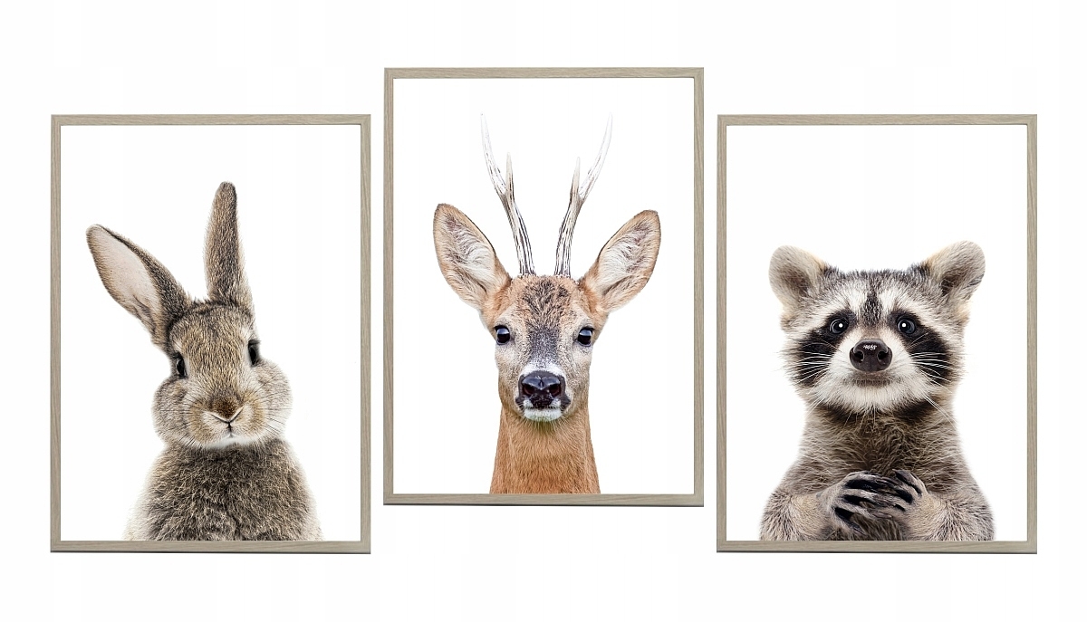 Poster - Hirsch, Hase, Waschbär / 3er-Set