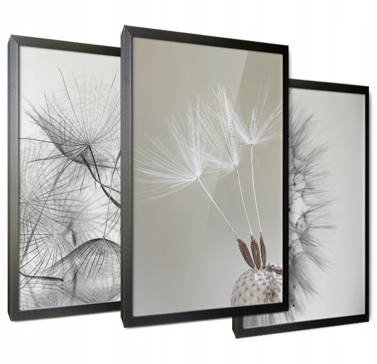 Poster - Löwenzahn / 02 / 3er-Set