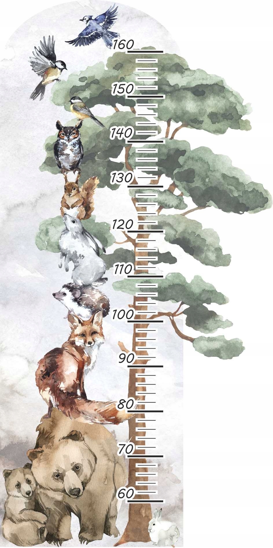 Wandtattoo - Waldtiere / Höhenmaß