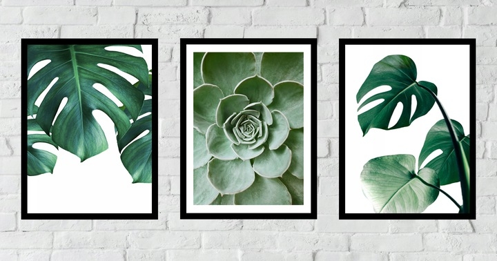 Poster - Kaktus und Monstera / 3er-Set