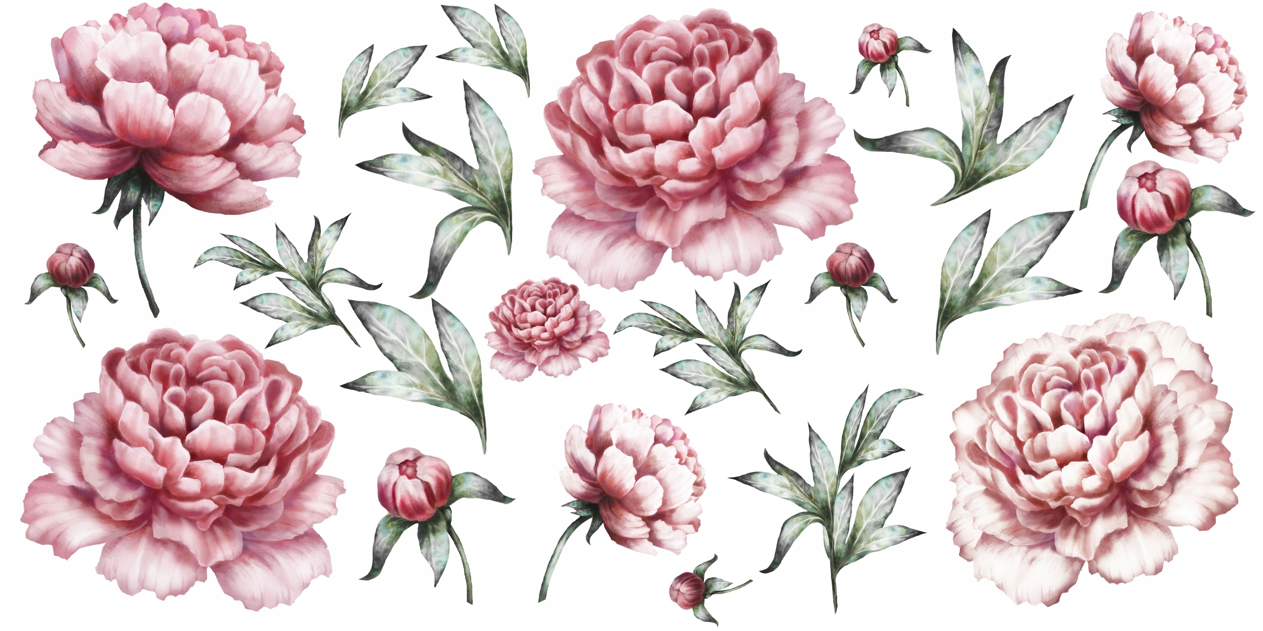 Wandtattoo - Pfingstrose Blumen / 02