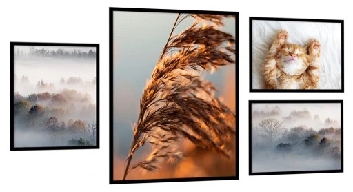 Poster - Wald im Nebel und Katze / 4er-Set