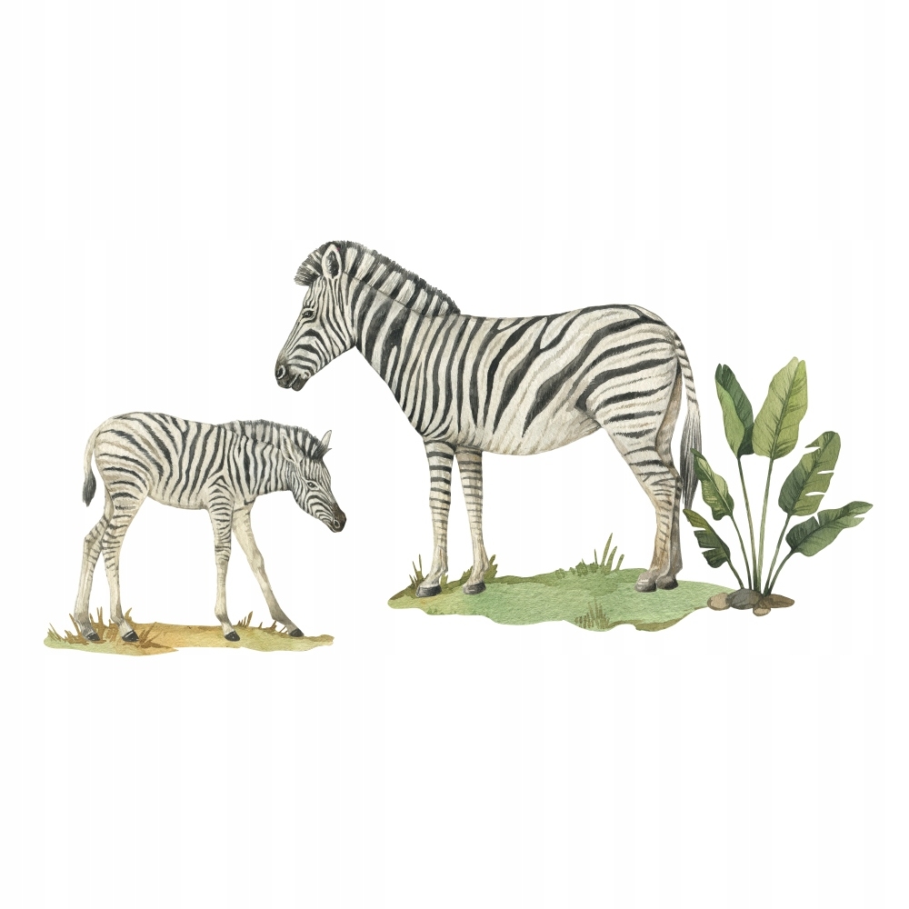 Wandtattoo - Safari-Zebra