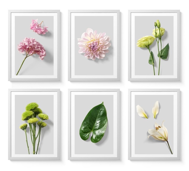 Poster - Blumen und Blätter / 6er-Set
