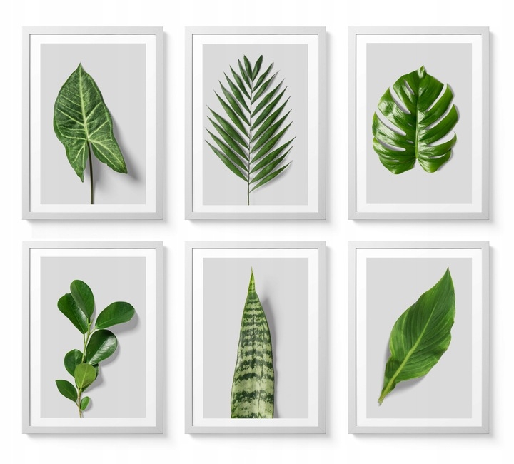 Poster - Blätter / 02 / 6er-Set