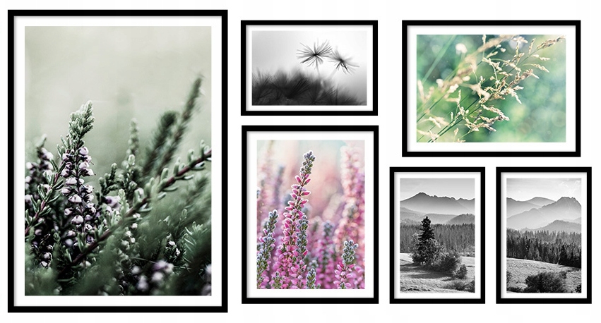 Poster - Wald und Blumen / 6er-Set