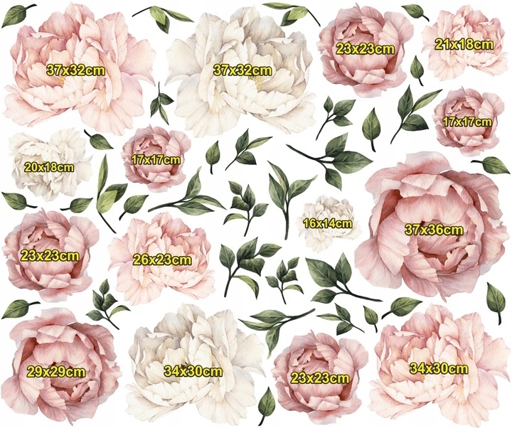 Wandtattoo - Pfingstrosen