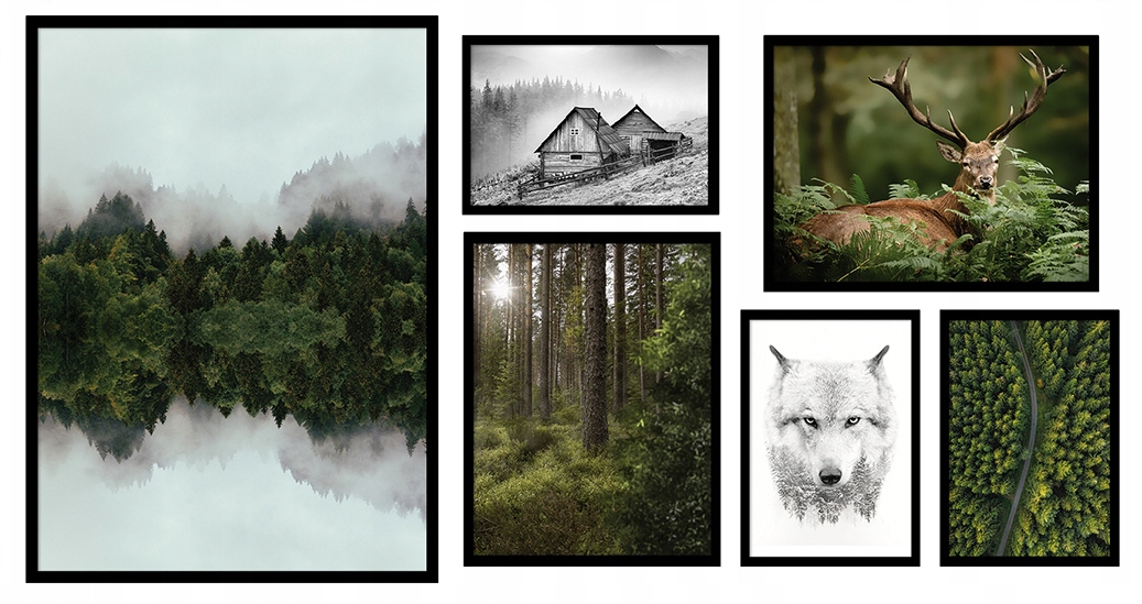 Poster - Wald und Nebel / 6er-Set