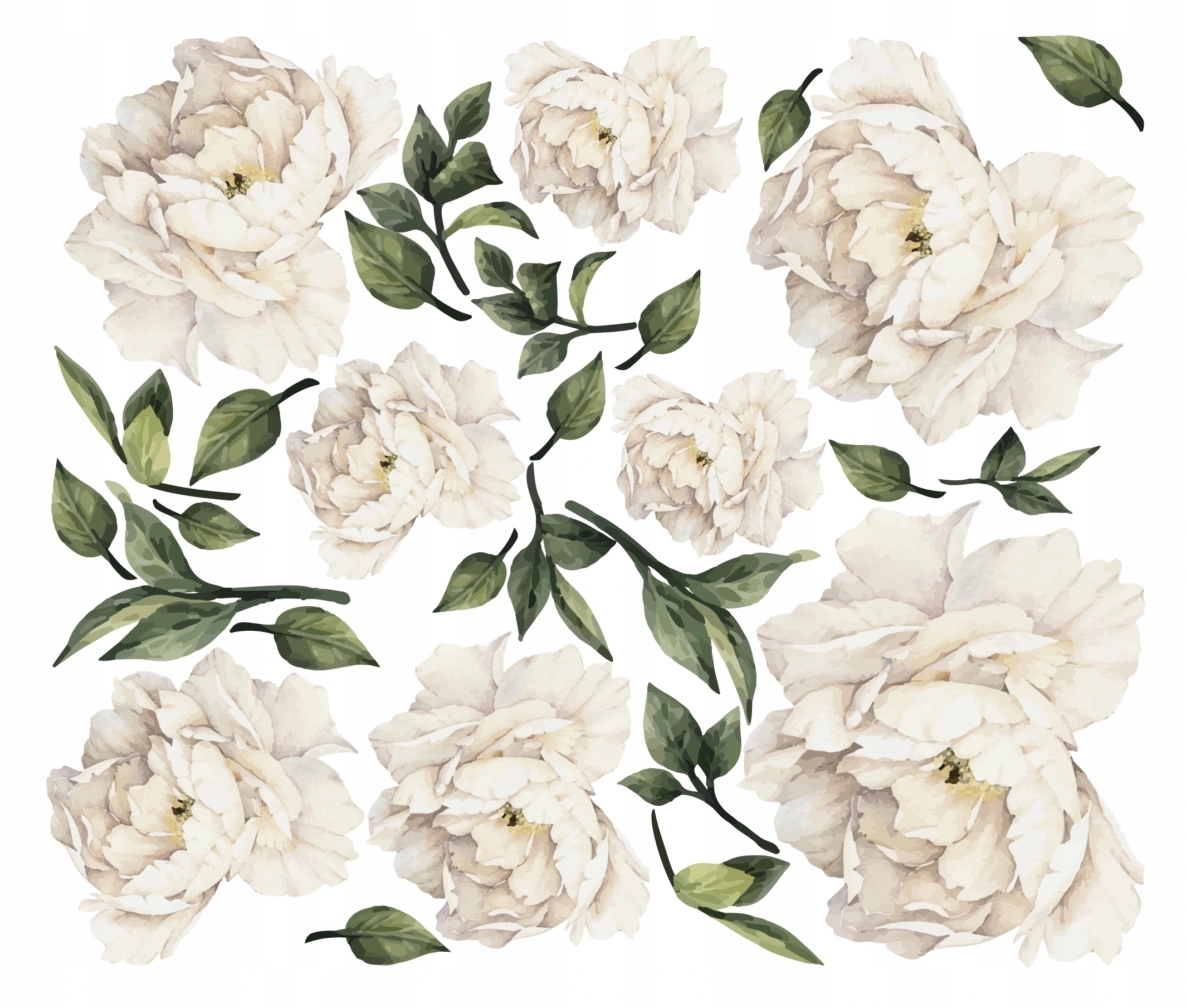 Wandtattoo - Pfingstrosen / Weiss