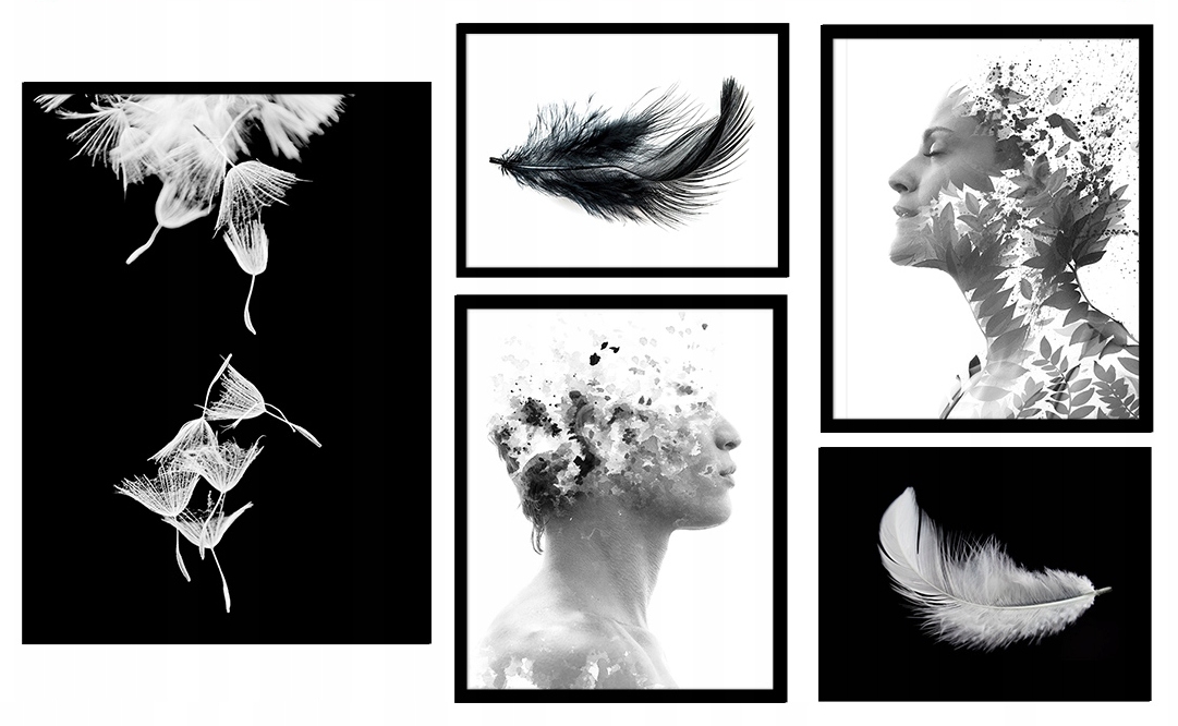 Poster - Schwarze und weiße Federn / 5er-Set