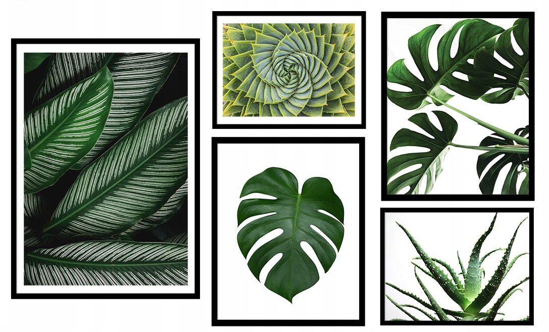 Poster - Kaktus und Blätter / 5er-Set
