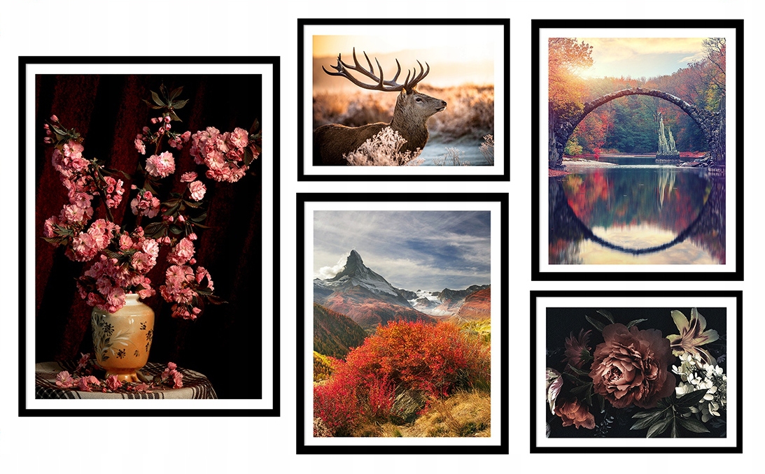 Poster - Natur / 5er-Set