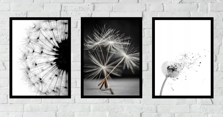 Poster - Löwenzahn / 3er-Set