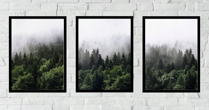 Poster - Wald im Nebel / 3er-Set