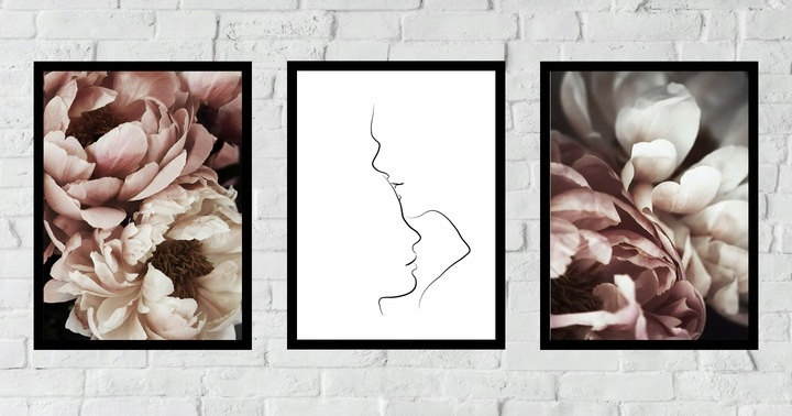 Poster - Pfingstrosen und Linienkunst / 3er-Set