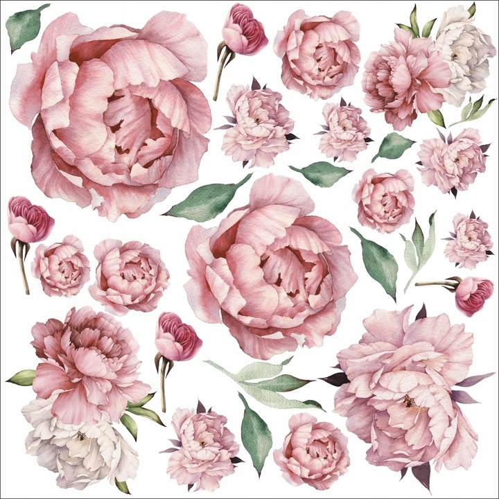 Wandtattoo - Pfingstrosen