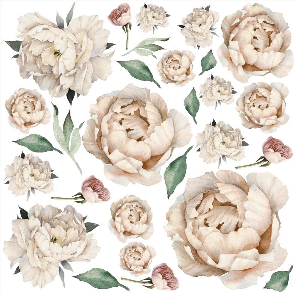 Wandtattoo - Pfingstrosen / 02