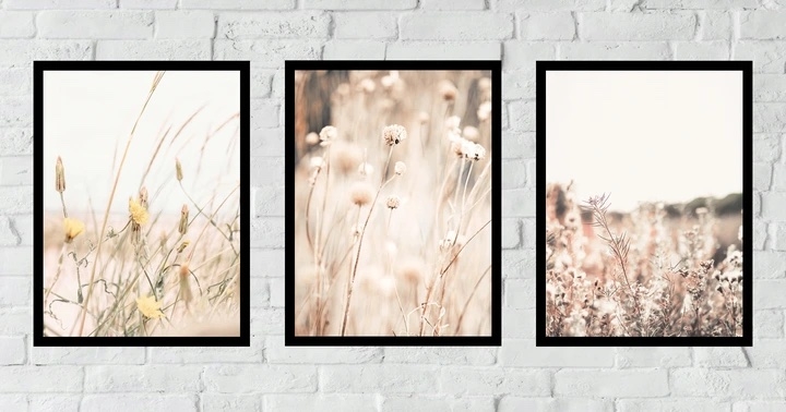 Poster - Boho-Bild Wiesen-Trockengras / 3er-Set