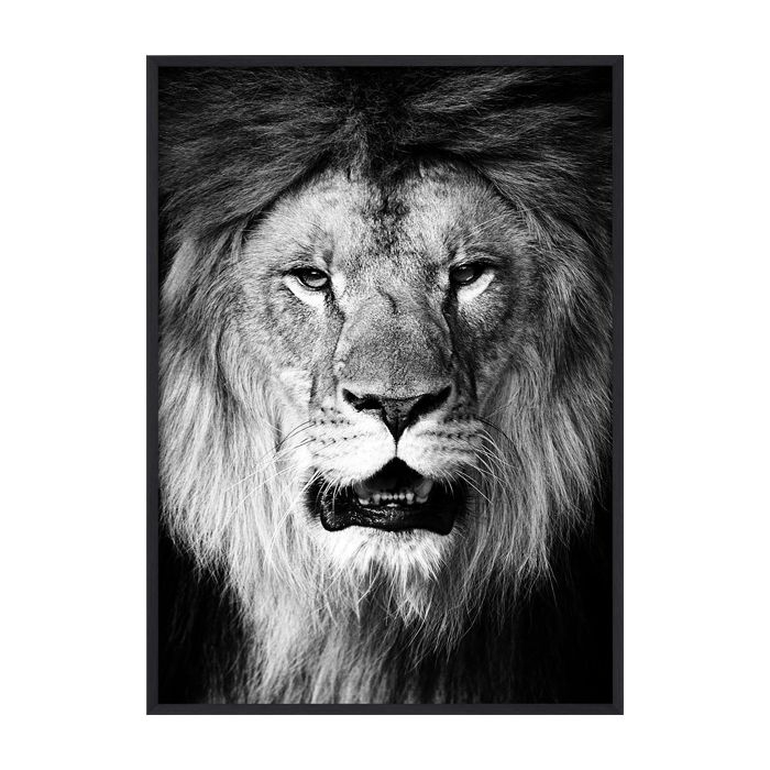 Poster - S&W Löwe / Flach verpackt