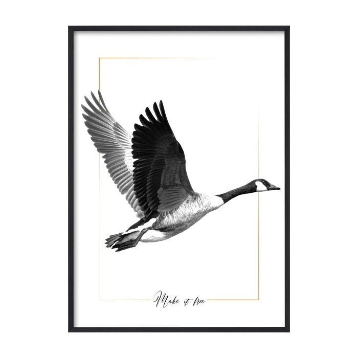Poster - B&W Fliegende Gans / Flach verpackt