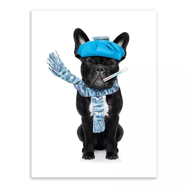 Poster - Kranker Hund