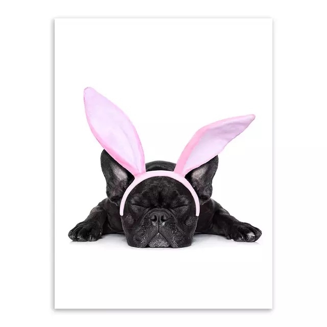 Poster - Hund mit Stirnband