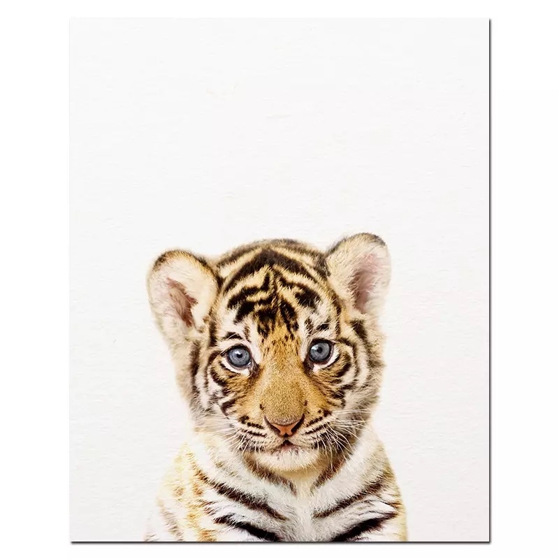 Poster - Tiger