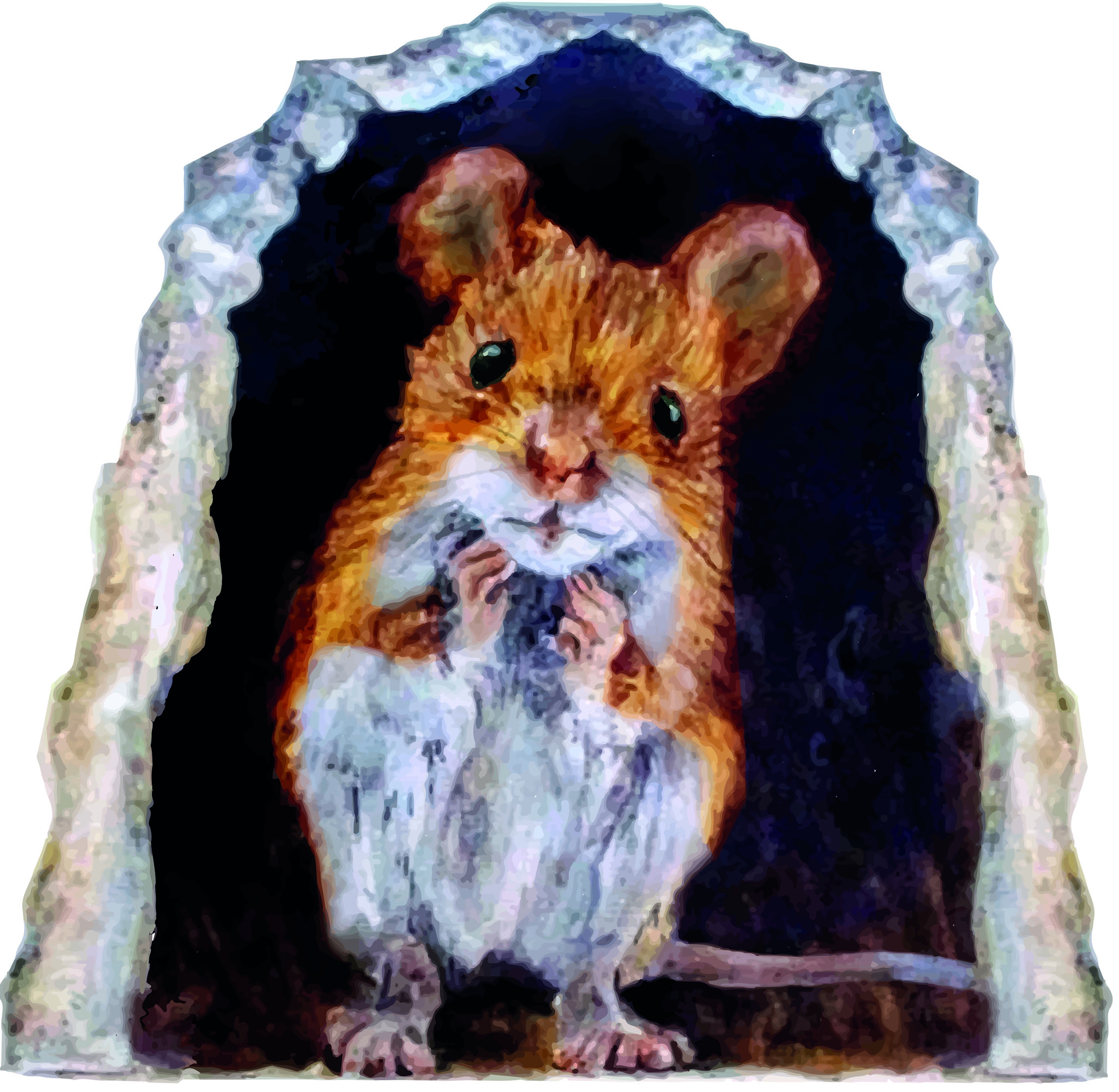 Wandtattoo - Hausmaus im Loch