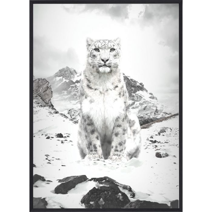 Poster - B&W White Lynx / Flach verpackt