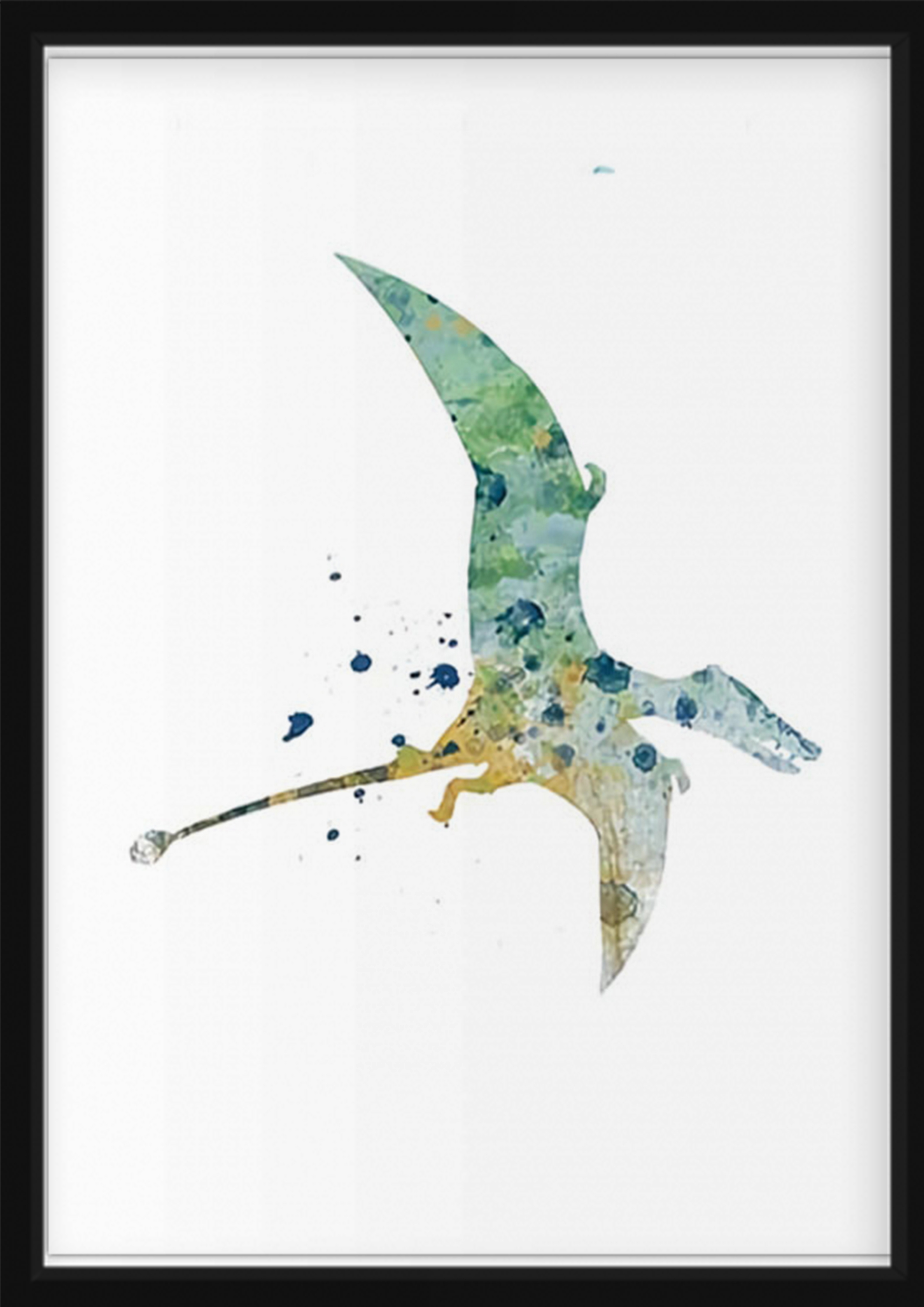 Poster - Rhamporhynchos