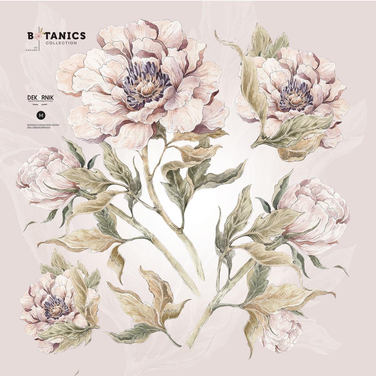 Wandtattoo - Pfingstrosen