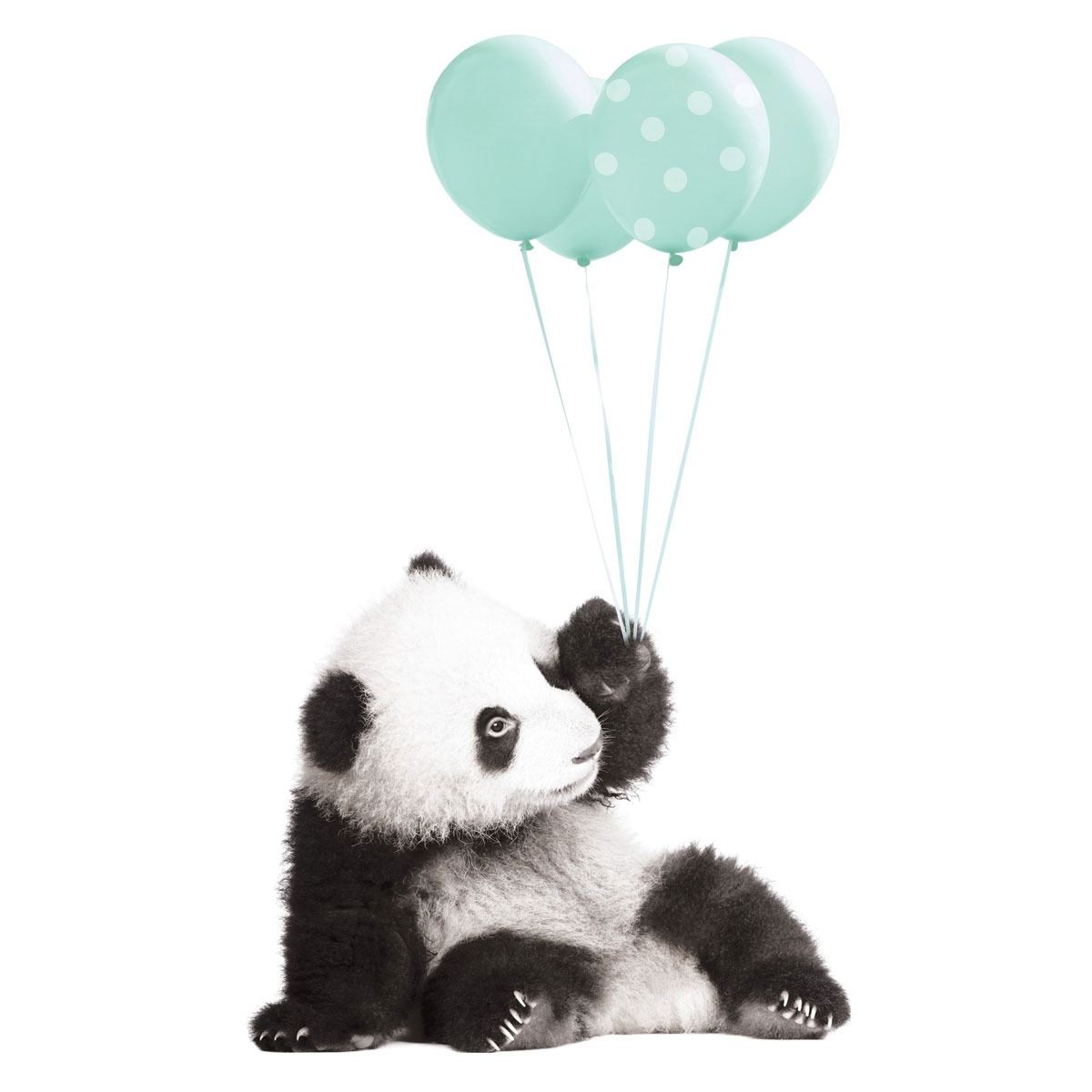 Wandtattoo - Panda mit tadellosen Luftballons