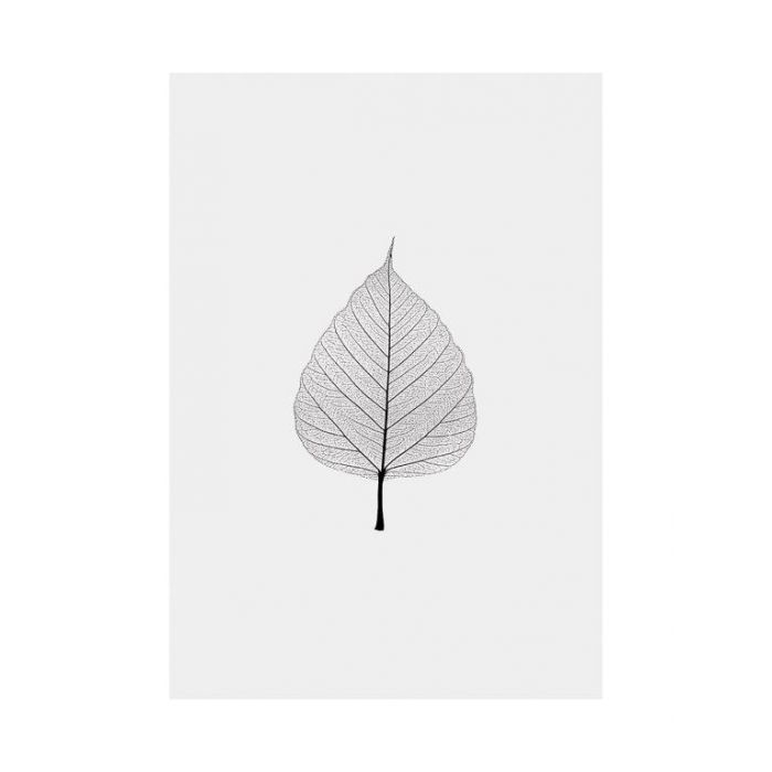 Poster - Helles Blatt / Flach verpackt