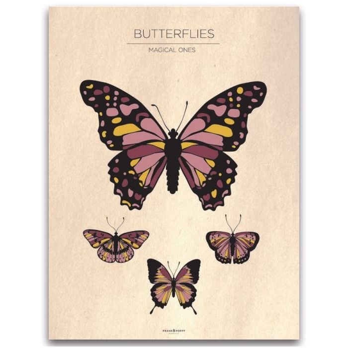 Poster - Schmetterlinge / Jahrgang