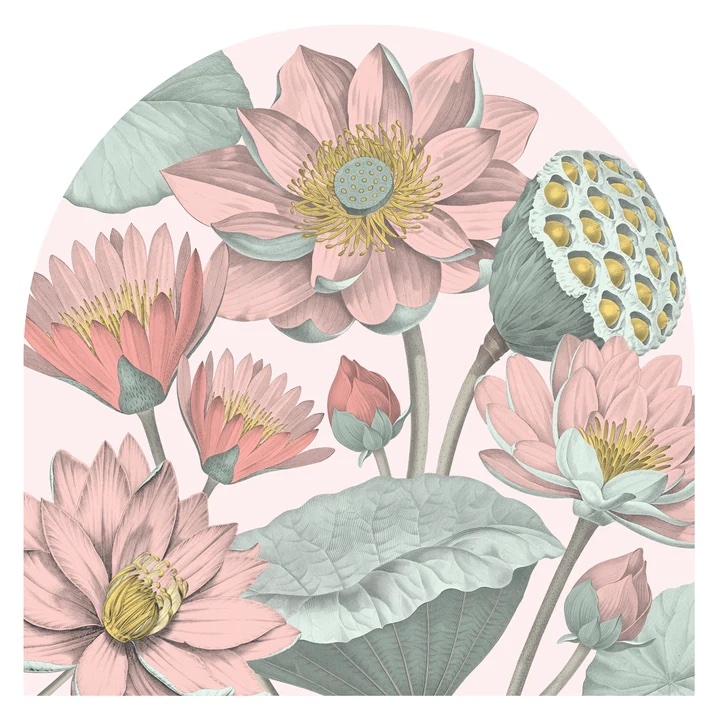 Wandtattoo - Seerosenbogen