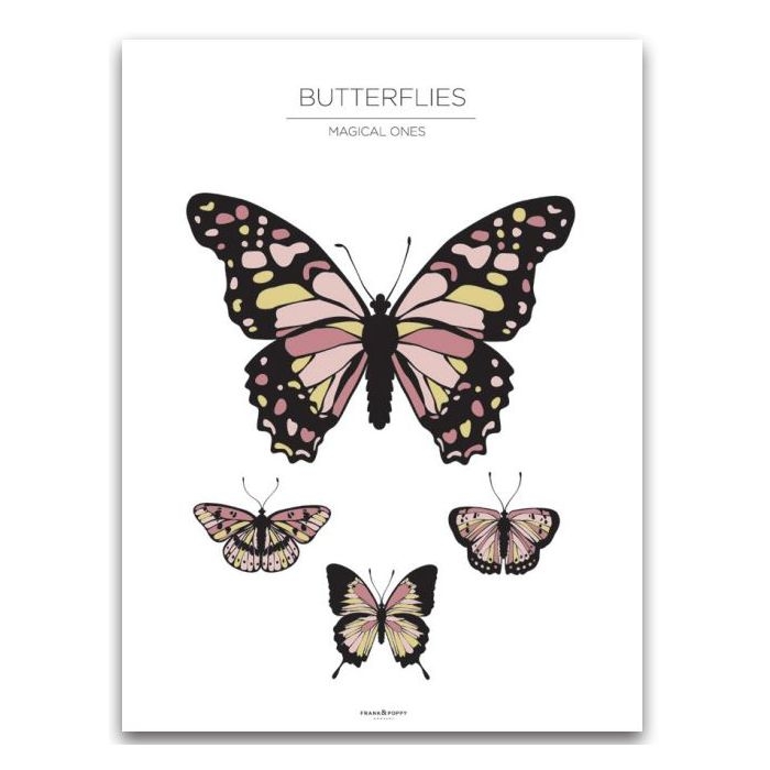 Poster - Schmetterlinge / Weiß
